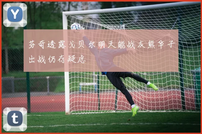 芬奇透露戈贝尔明天能战灰熊华子出战仍存疑虑