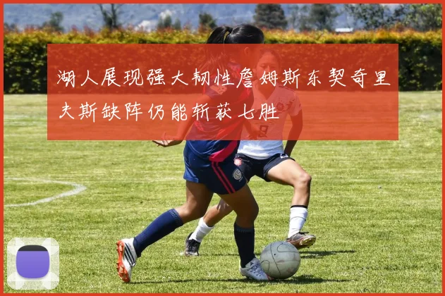 湖人展现强大韧性詹姆斯东契奇里夫斯缺阵仍能斩获七胜