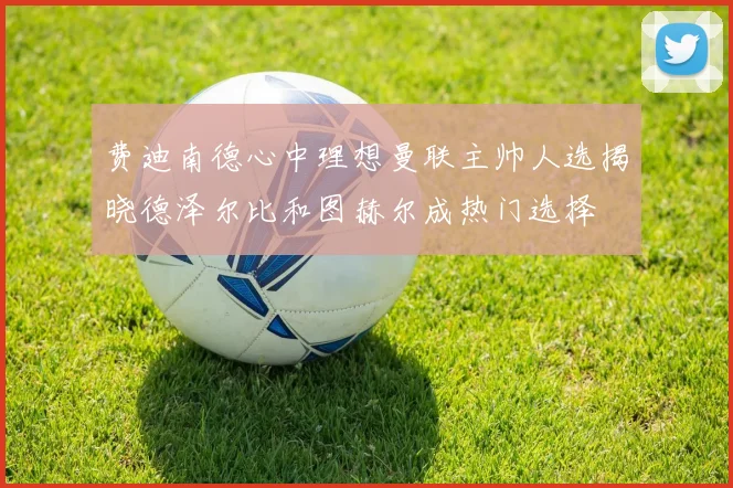 费迪南德心中理想曼联主帅人选揭晓德泽尔比和图赫尔成热门选择