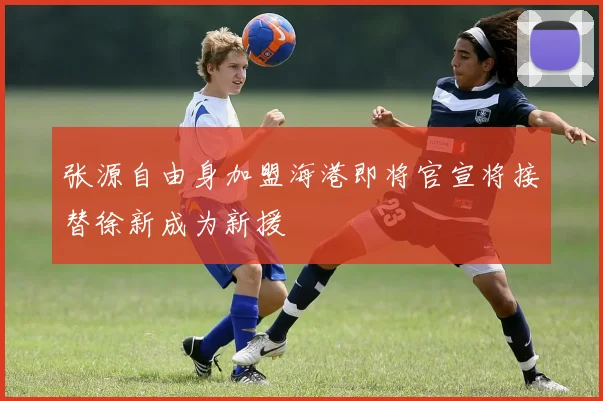 张源自由身加盟海港即将官宣将接替徐新成为新援
